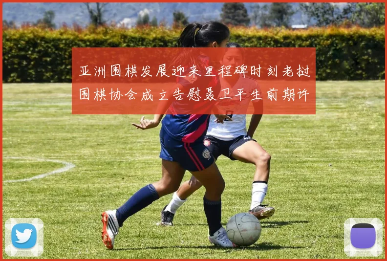 亚洲围棋发展迎来里程碑时刻老挝围棋协会成立告慰聂卫平生前期许