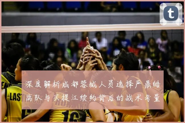 深度解析成都蓉城人员选择严鼎皓离队与买提江续约背后的战术考量