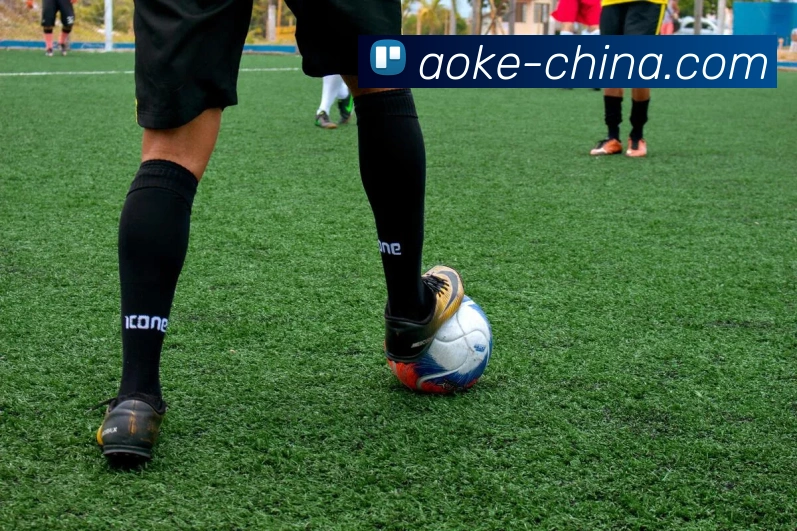 多媒体互动体验